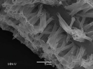 nanotube2