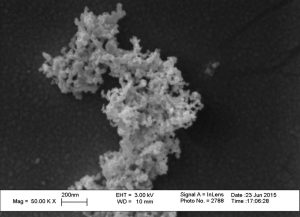 Figure: SEM image of TiO2 NPs 