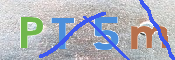 CAPTCHA (Şahıs Denetim Kodu) Resmi